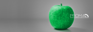 BANNER-WEB