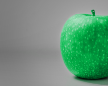 BANNER-WEB