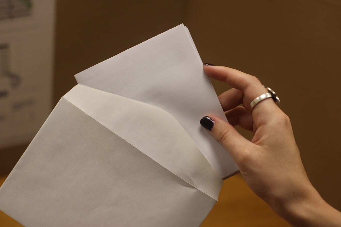 Elecciones voto2