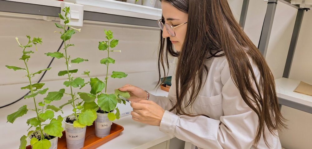 Subsidios “Mabel Yudi”: ¿Qué investigan las y los jóvenes científicos de la FCQ?