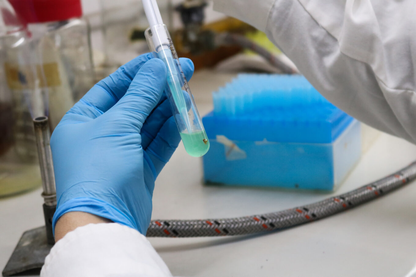 Investigacion IMG_3062