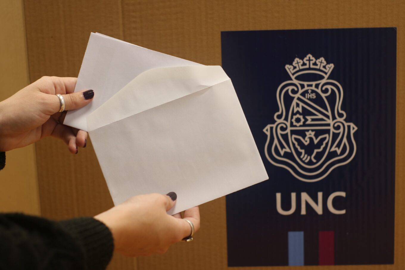 Elecciones voto