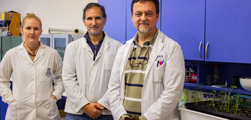 Salud y seguridad alimentaria: Grupos de la FCQ desarrollan innovadoras líneas de investigación sobre la inocuidad de los alimentos