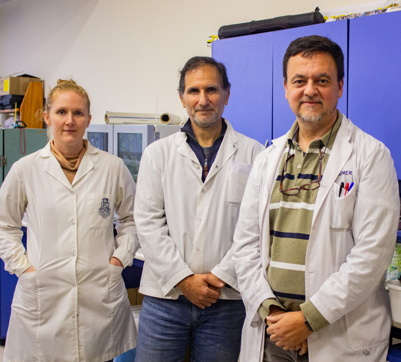Investigacion-36